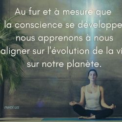 Au fur et a mesure que